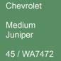 Preview: Chevrolet, Medium Juniper, 45 / WA7472.